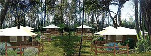 sl91-16ar.jpg sl91-16ar.jpg