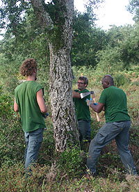 sl99-3ar.jpg sl99-3ar.jpg